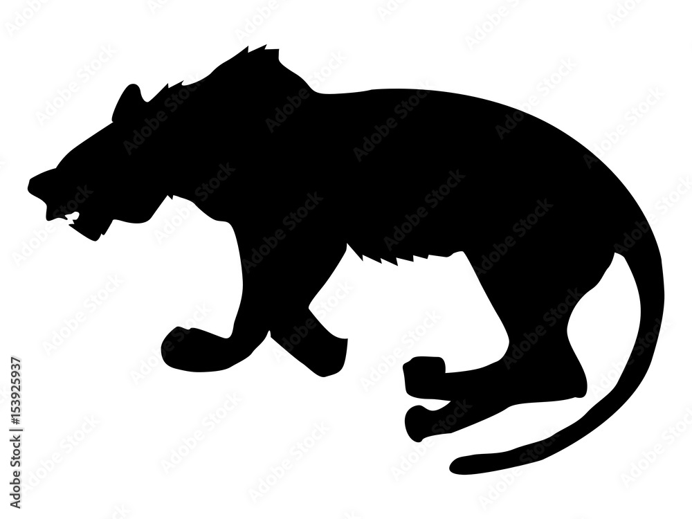 Obraz premium panther