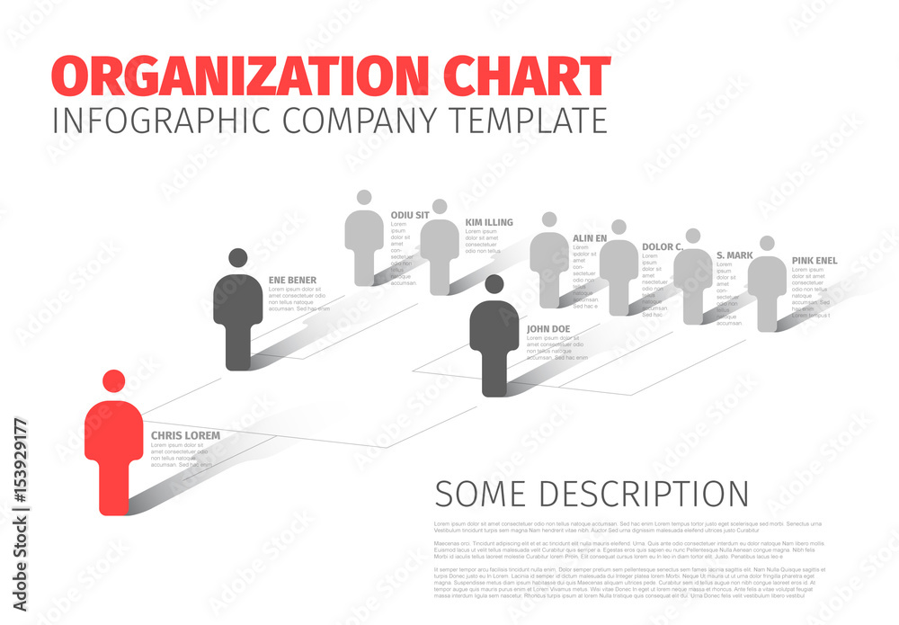 Organizational Chart Layout Stock Template | Adobe Stock