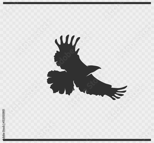 eagle icon black color on transparent