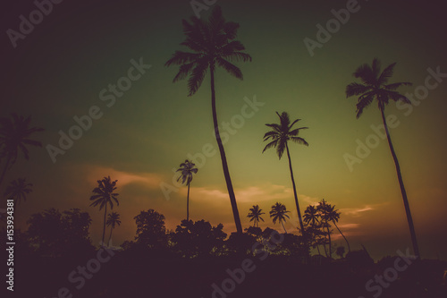 Silhouettes of palm trees against the sky with clouds just after sunset