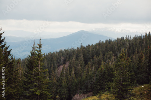landscape in mountains Carpathians Ukraine