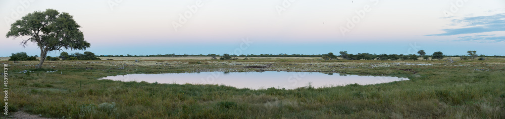 Waterhole in Okaukuejo