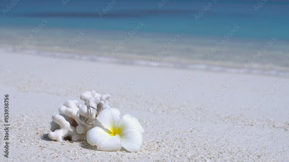 Marriage rings on coral decorated white plumeria flower on sandy beach close to turquoise sea. Tropical wedding travel card
Marriage rings on coral decorated white plumeria flower on sandy beach close to turquoise sea. Tropical wedding travel card