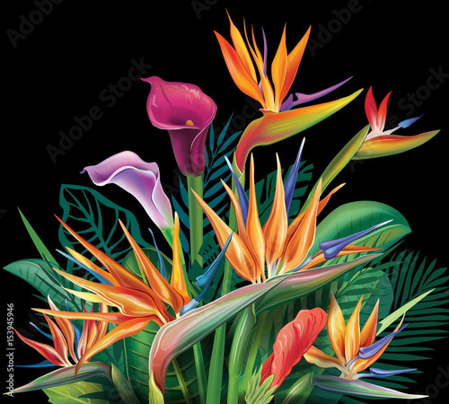 Floral bouquet with Strelitzia flowers