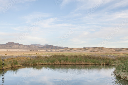 view of tecopa hot springs little pond in Mojave desert, Nenada