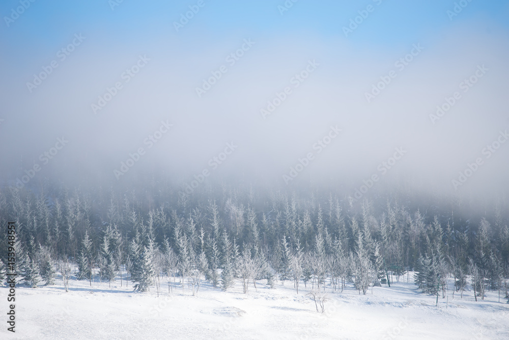 Winter in Karkonosze, Czech Republic