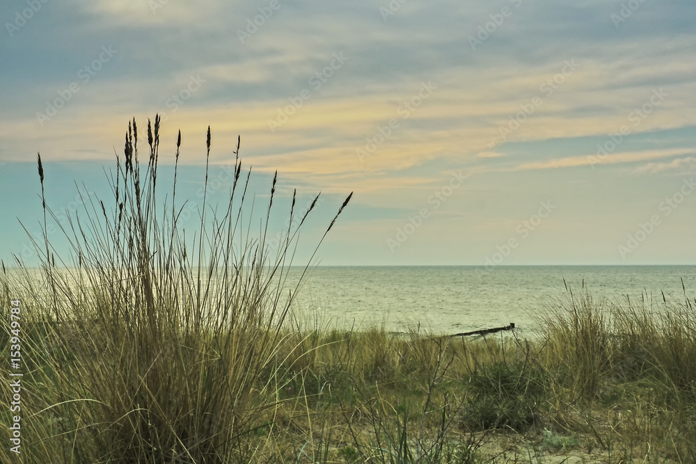 Dünen mit Strandhafer am Ostseestrand