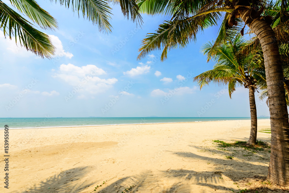 sunny tropical beach with coconut trees