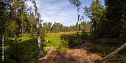 Fototapeta Naklejka Na Ścianę i Meble -  Torfowisko