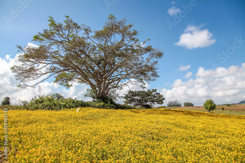 Myanmar - Fahrt Heho nach Pindaya