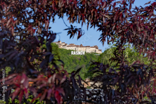 Rasnov fortress from Brasov county, Romania, sits on the highest hill that dominates the Rasnov medieval village, viewed through a natural red tree frame