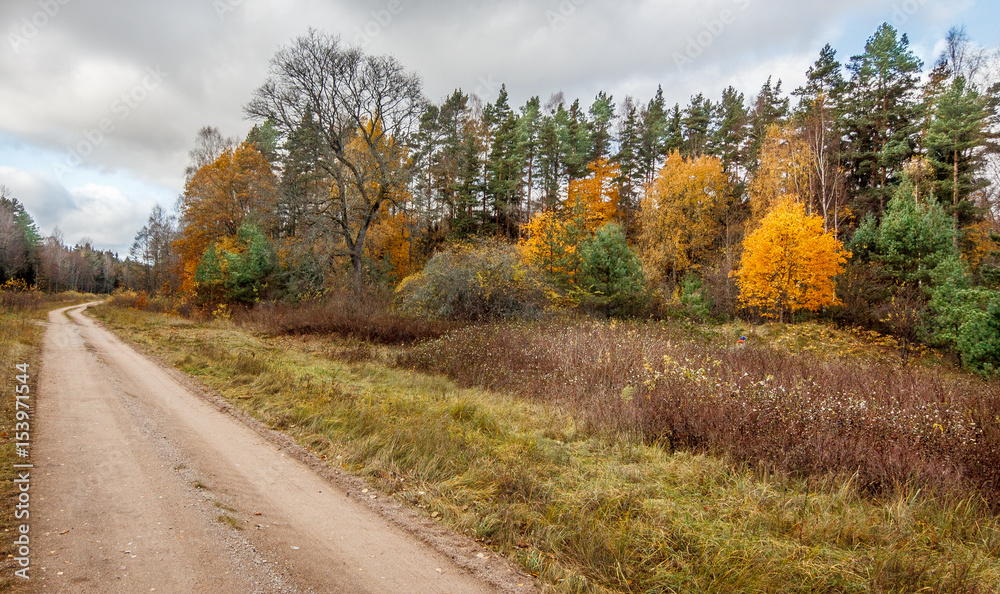 Country dirt road during autumn.