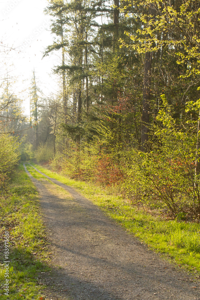 Obraz premium Markgröningen