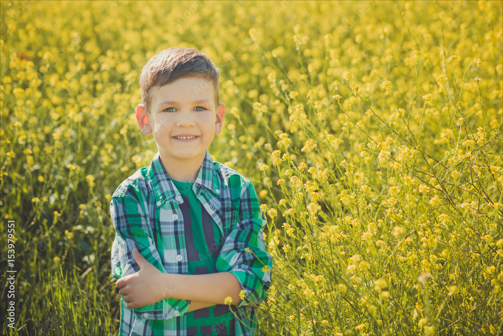 Handsome boy with blond hair in canola field Handsome boy with blond hair in canola field