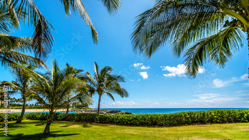 Palm trees swaying in the wind under blue sky at Ko Olina on the West Coast of the Hawaiian island of Oahu