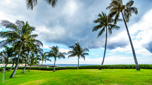 Palm trees in the wind under cloudy sky at Ko Olina on the West Coast of the Hawaiian island of Oahu