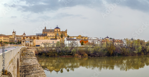 view of Cordoba with Mosque Cathedral, Spain © borisb17