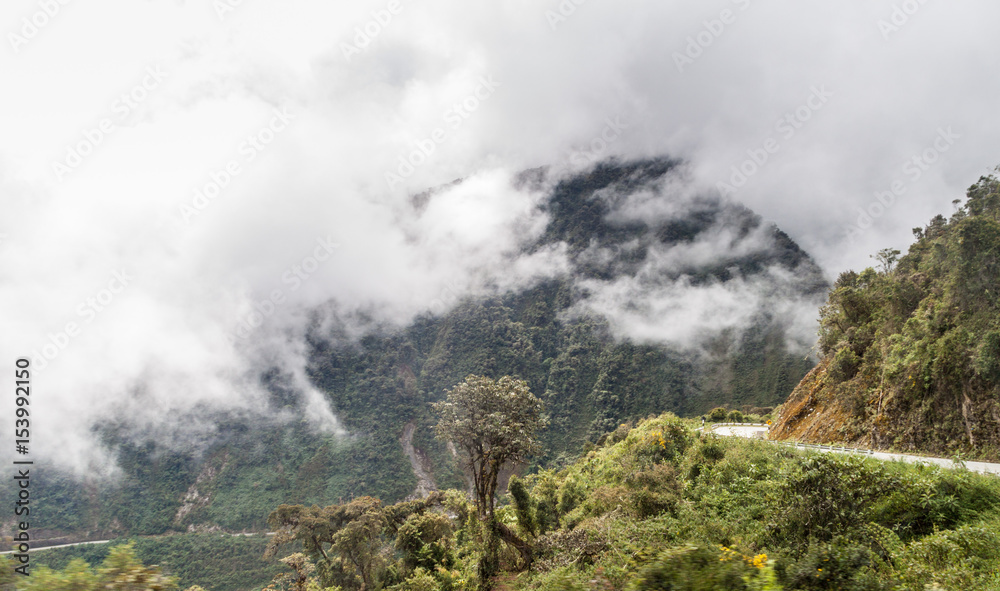 Mountain road from Olllantaytambo to Quillabamba in Abra Malaga pass section, Peru