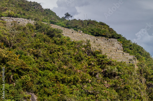 Former agricultural terraces at Machu Picchu ruins, Peru