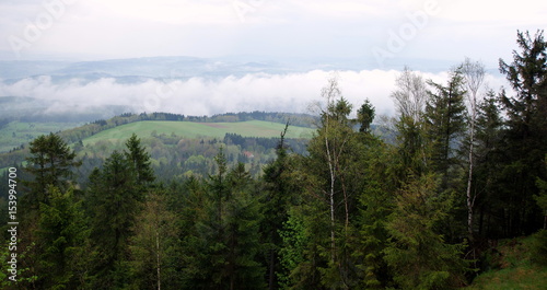 Las oraz chmura w kotlinie