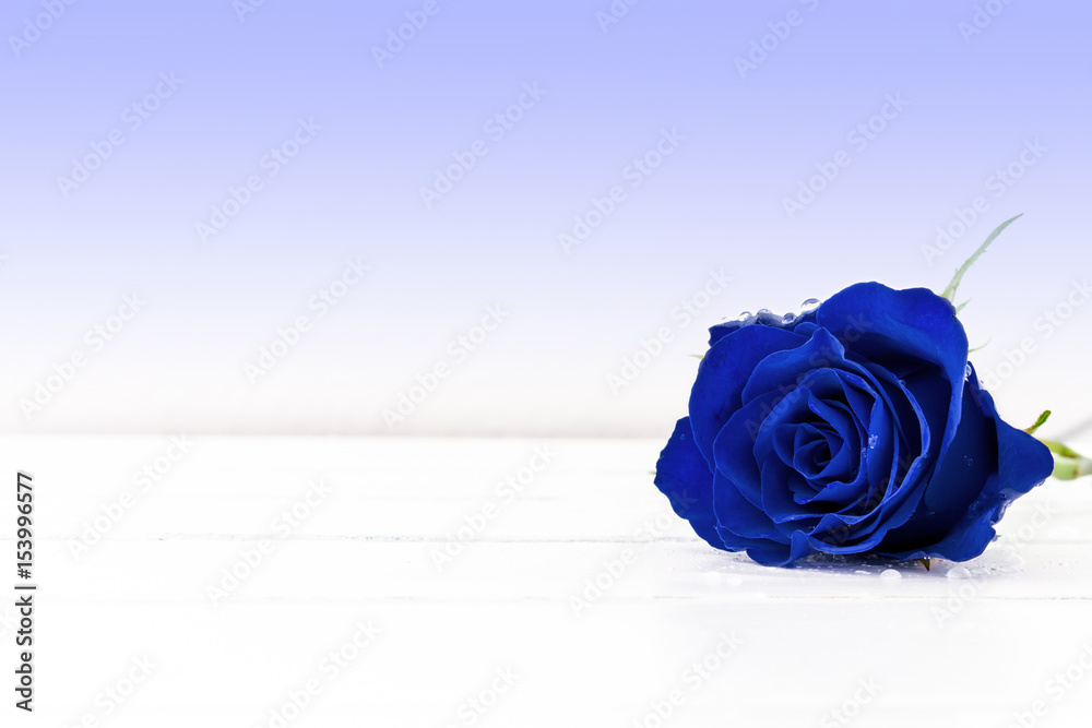 eine blaue rose auf einem holztisch