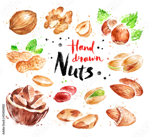 Watercolor collection of nuts