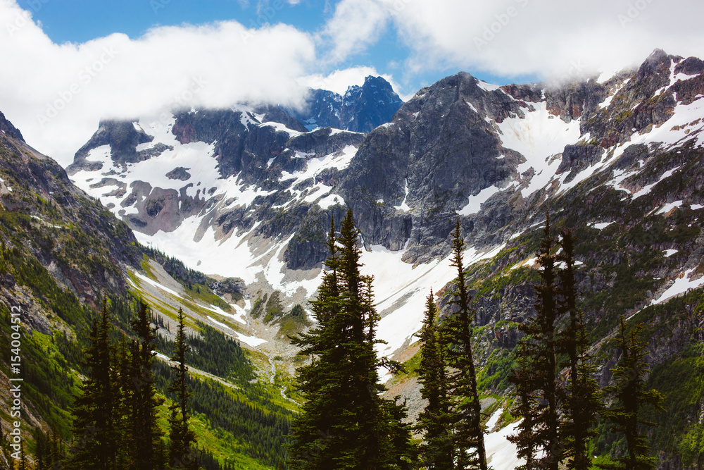 Mountain trail with snow and forest and fog