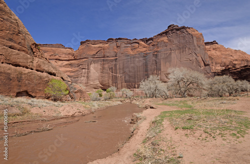 Muddy River in a Red Rock Canyon