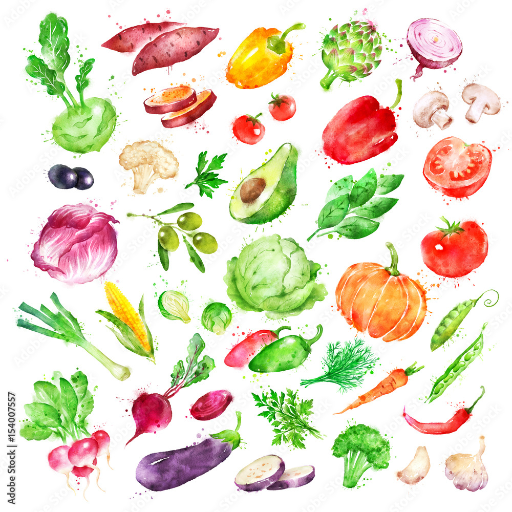 Watercolor illustration set of vegetables Watercolor illustration set of vegetables