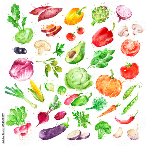 Fototapeta Naklejka Na Ścianę i Meble -  Watercolor illustration set of vegetables 