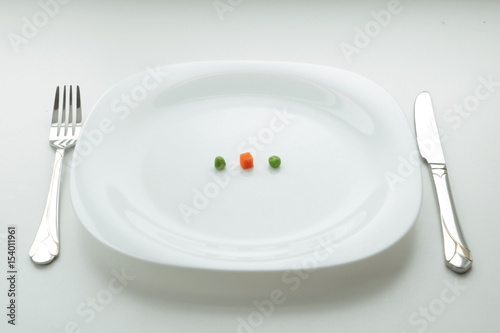 Diet dish on the white plate with fork and knife