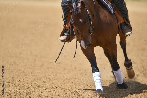 A front view of a rider gallops on horseback on the sandy field