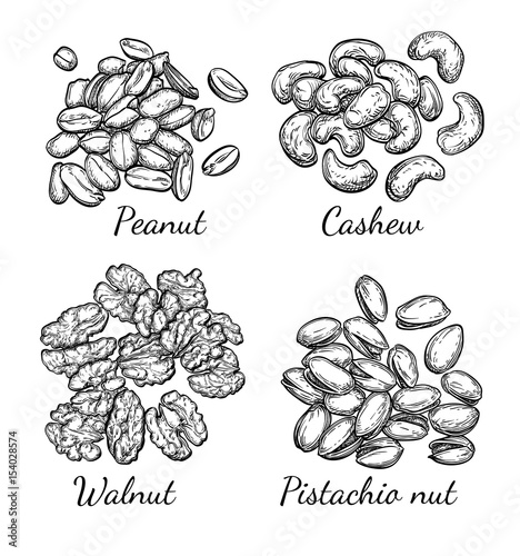 Walnut, cashew, pistachio and peanut