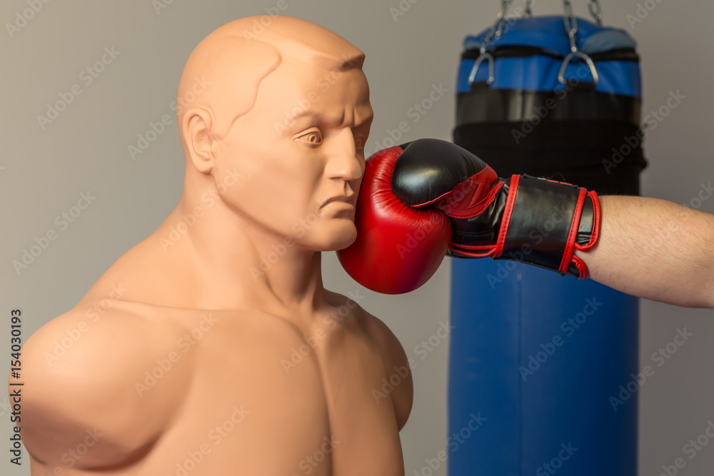 Caucasian boxer wearing red boxing gloves punching straight on a dummy  mannequin doll on a gym with a blue punching bag on the background Stock  Photo | Adobe Stock