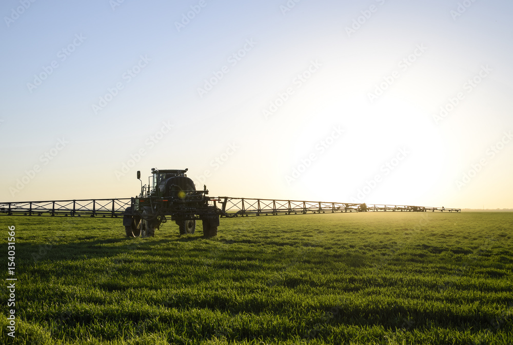 Obraz premium Tractor on the sunset background. Tractor with high wheels is making fertilizer on young wheat. The use of finely dispersed spray chemicals