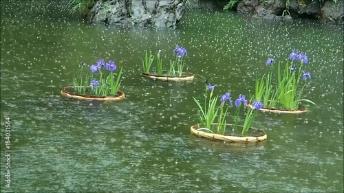 雨季１