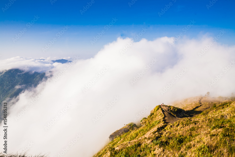 Morning beautiful cooling moment scene with foggy and cloudy
