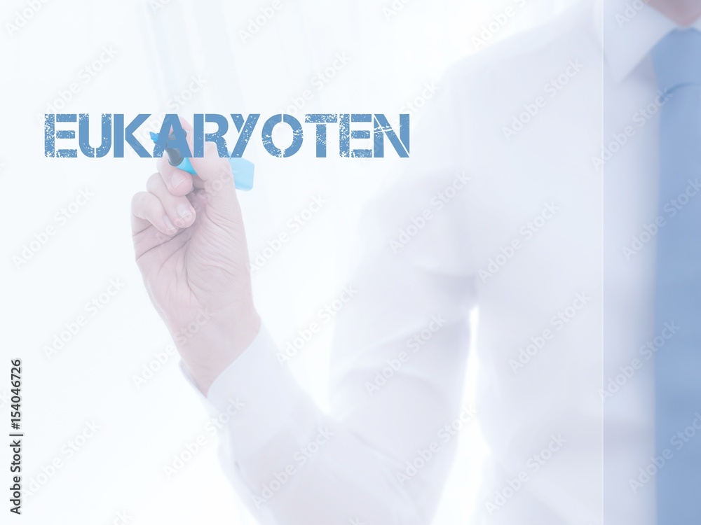 Eukaryoten