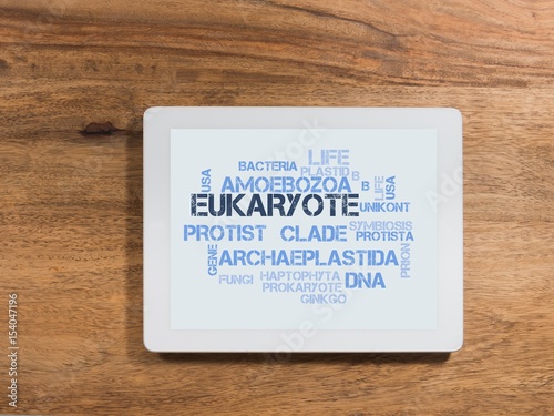 Eukaryote photo