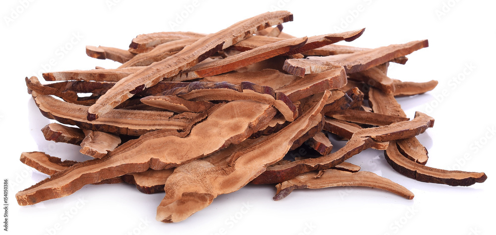 Ganoderma Lucidum isolated on white background Ganoderma Lucidum isolated on white background