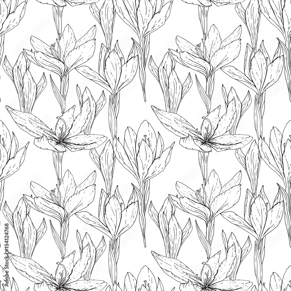 Seamless season pattern with contour black and white crocuses. Endless texture for floral summer design with flowers Seamless season pattern with contour black and white crocuses. Endless texture for floral summer design with flowers