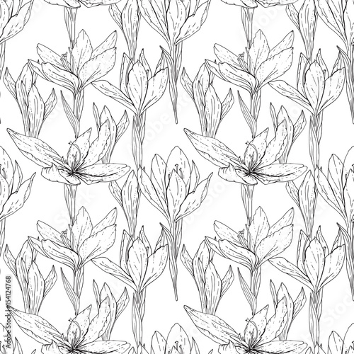 Seamless season pattern with contour black and white crocuses. Endless texture for floral summer design with flowers