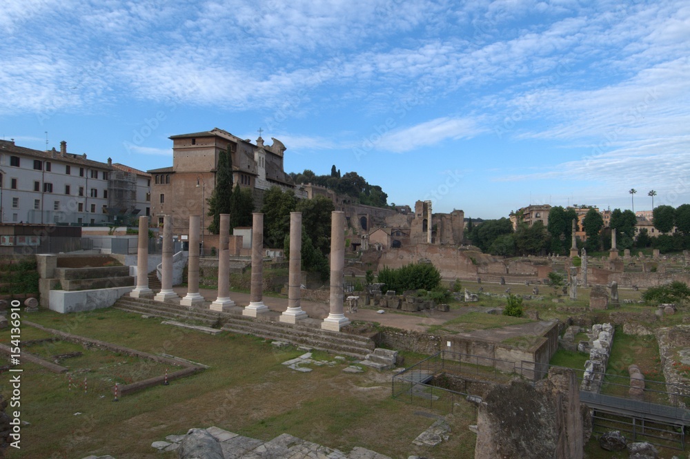 Fototapeta premium Roman Forum in Rome, Italy