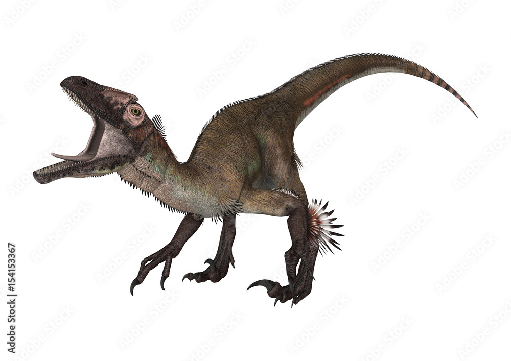 3D Rendering Dinosaur Utahraptor on White 3D Rendering Dinosaur Utahraptor on White