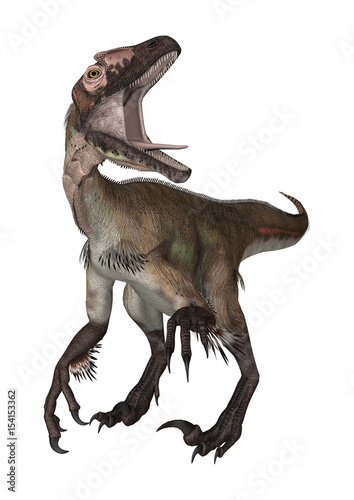 3D Rendering Dinosaur Utahraptor on White