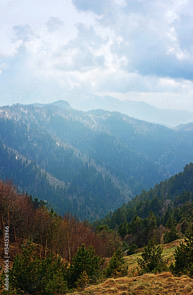Springtime landscape of caucasus mountains with peaks covered by forest