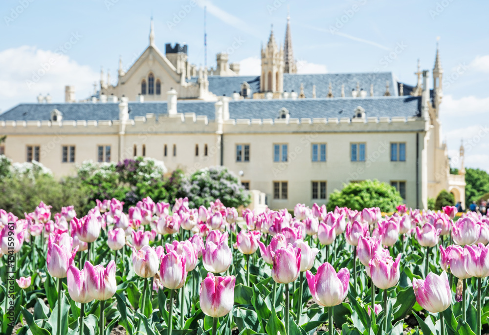 Majestic Lednice castle with flowering tulips, southern Moravia, Czech republic