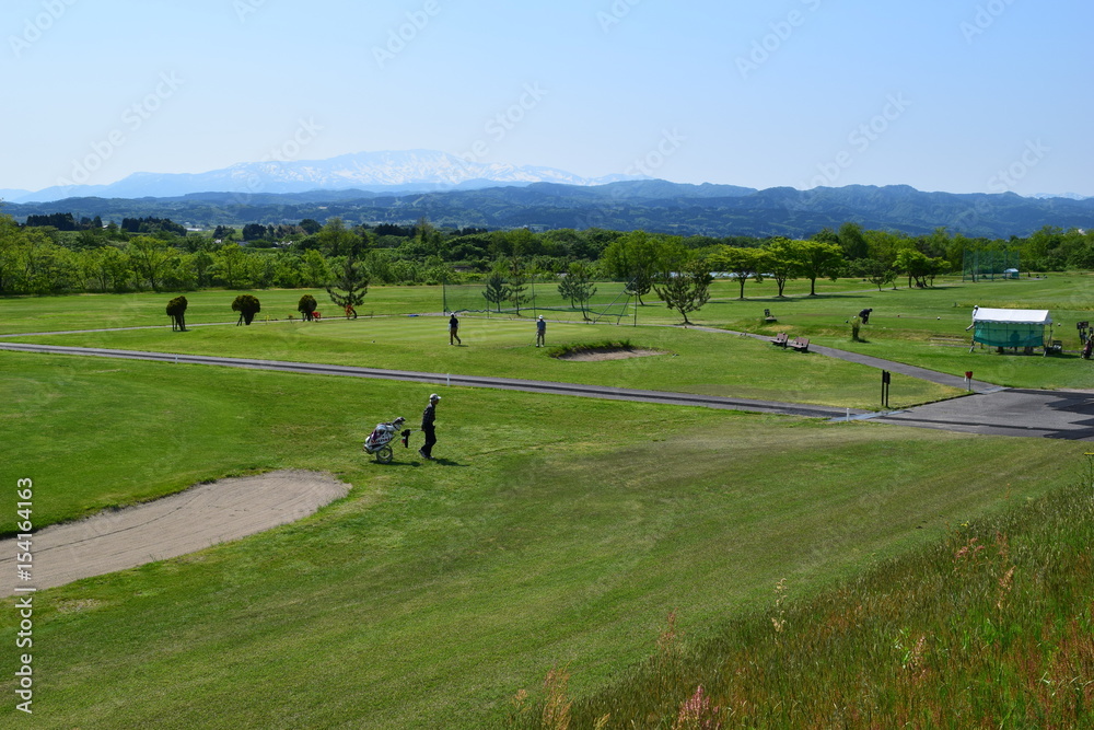 Fototapeta premium 新緑のゴルフ場