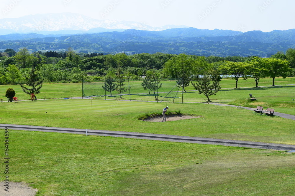 Fototapeta premium 新緑のゴルフ場
