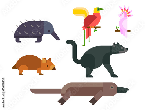 Australia wild animals cartoon popular nature characters flat style and australian mammal aussie native forest collection vector illustration.